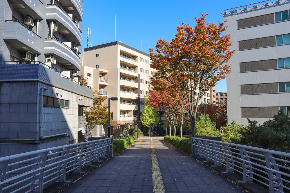 マンション・アパート